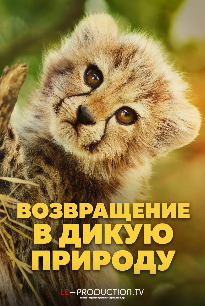 Возвращение в дикую природу